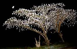 egret tree